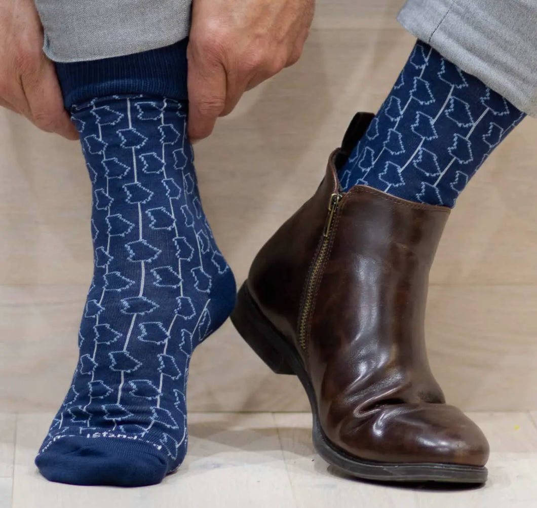 Georgia socks