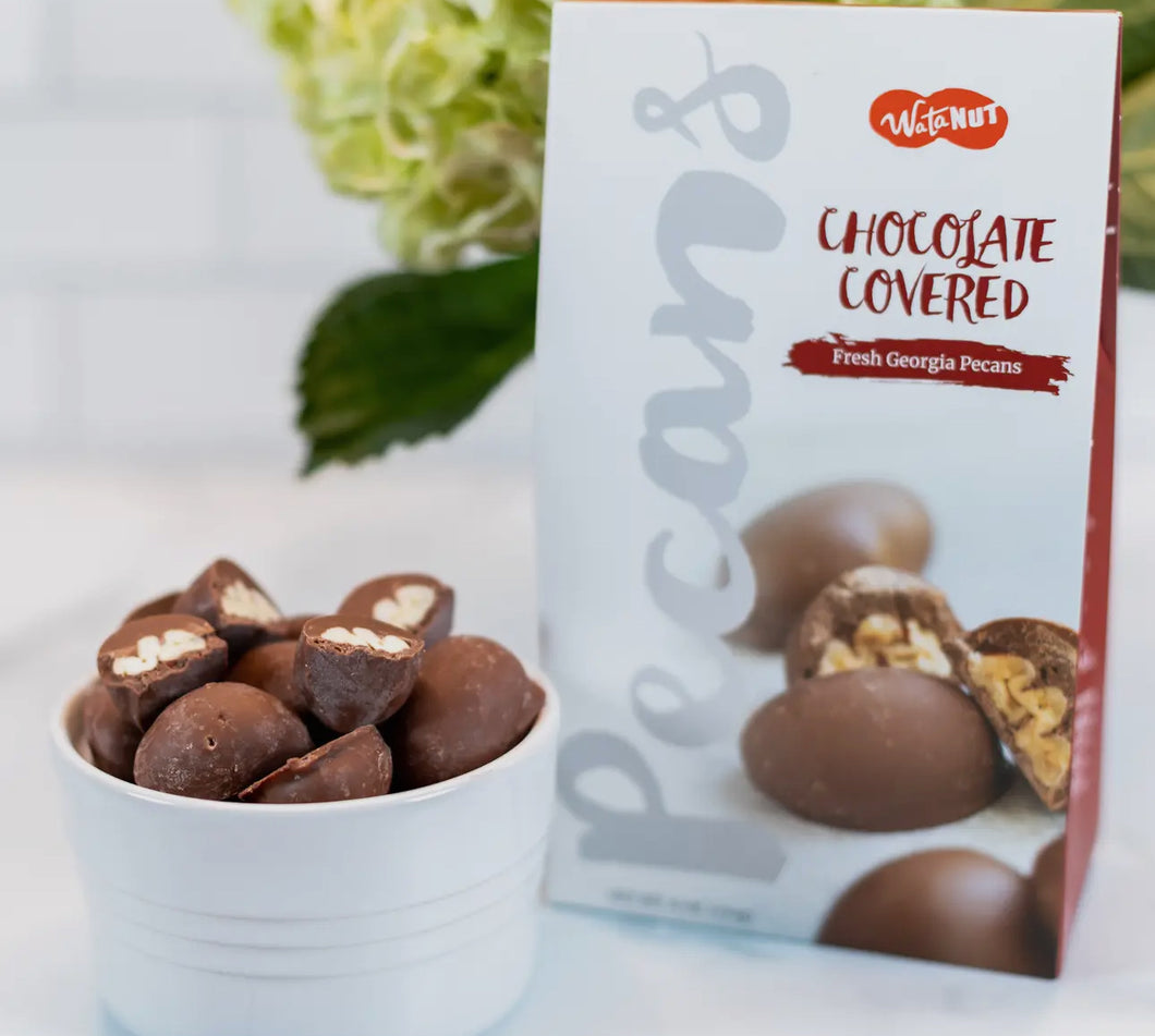 Chocolate covered pecans