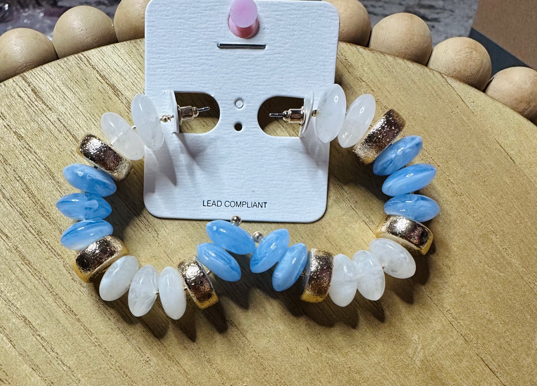 Blue stoned earrings